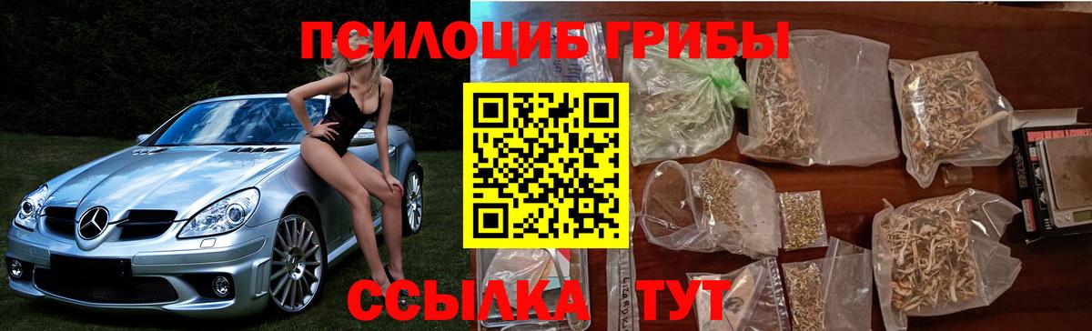 цены   Псилоцибиновые грибы Magic Shrooms  Вход с VPN  Нерюнгри 